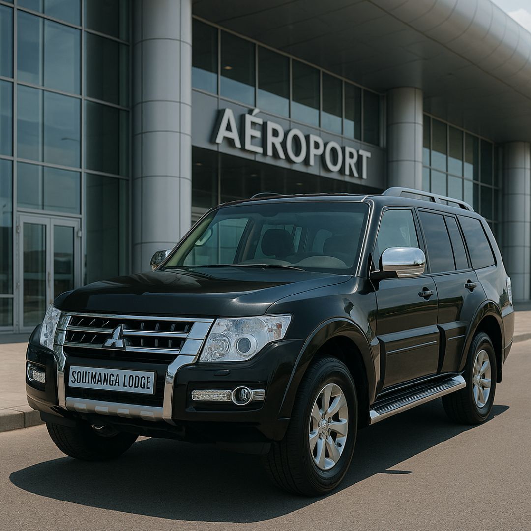 Aéroport - Hôtel (Petite voiture)